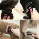 Escova Rasqueadeira Profissional para Cães e Gatos | Pet Desh