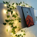 Iluminação Decorativa LED para Jardins com Energia Solar