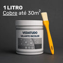 Selante e Impermeabilizante VedaTudo Contra Infiltrações