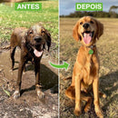 Pulverizador de Espuma Alta Pressão para Banho Pet - 8 Jatos
