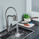 Torneira Gourmet para Cozinha Monocomando Guindaste com Filtro